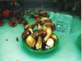 Boletus aereus